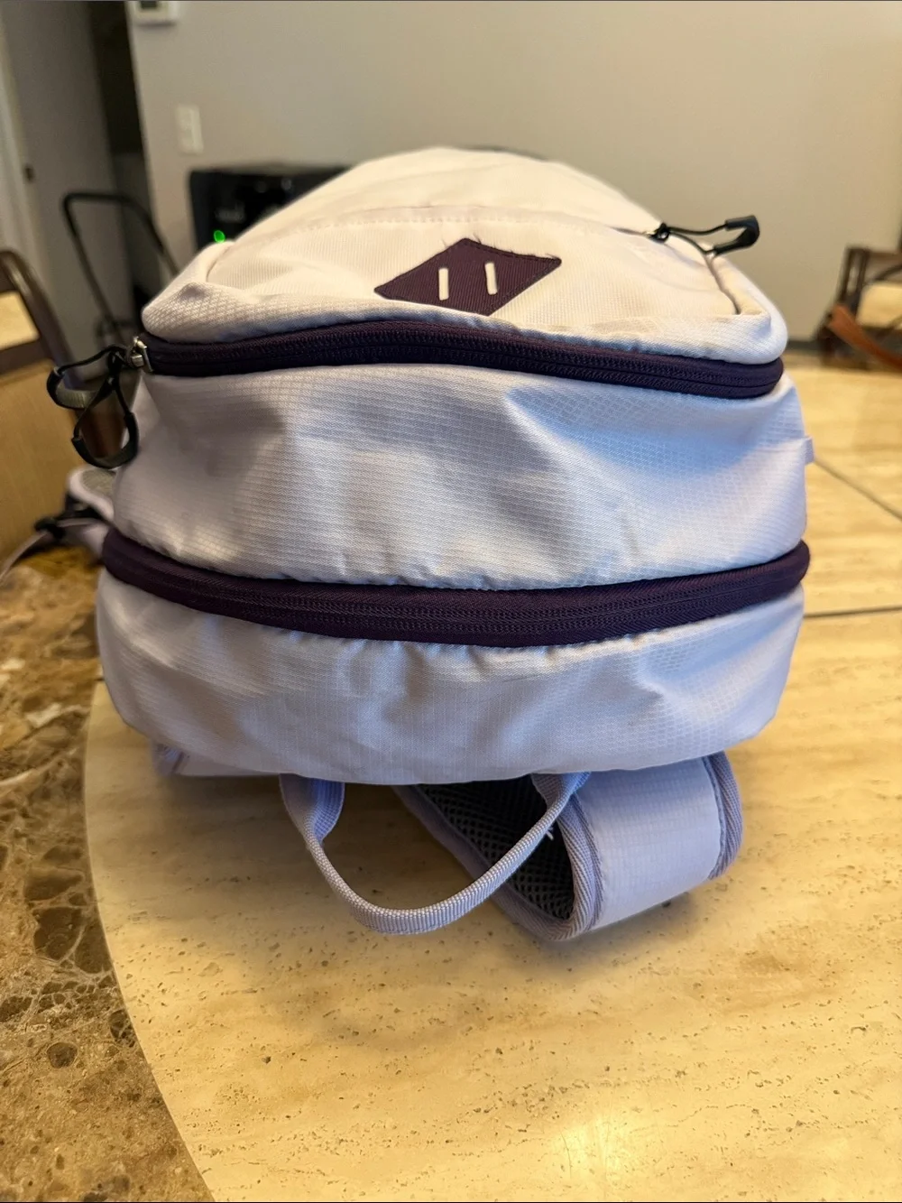 Swiss Tech Light Pink and Plum Casual Daypack